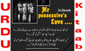 Read more about the article Mr Possessive’s Love By Dia Zahra Complete Novel