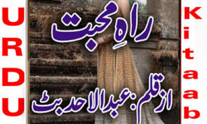 Read more about the article Rah e mohabbat by Abdulahad Butt Complete Novel