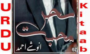 Read more about the article Sehar E Mohabbat By Anushy Ahmed Complete Novel