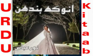 Read more about the article Anokha Bandhan By Noor Abbas Complete Novel