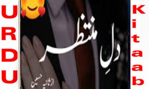 Read more about the article Dil E Muntazir By Sania Hussain Complete Novel