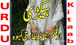 Read more about the article Haikri By Naila Tariq Kamboh Complete Novel