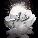 Sufaid Gulab by Yaman Eva Writes Complete Novel
