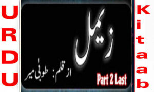 Read more about the article Zimal By Tooba Mir Part 2 Complete Novel