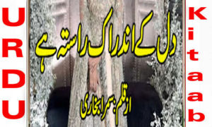 Read more about the article Dil Ke Ander Ik Rasta Hai By Samra Bukhari Complete Novel