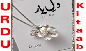 Read more about the article Dil e Yar by Dia Zahra Complete Novel