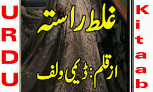 Read more about the article Ghalat Rasta By Dimy Wolf Complete Novel