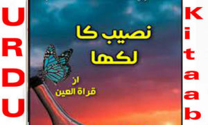 Read more about the article Naseeb Ka Likha By Sana Batool Complete Novel