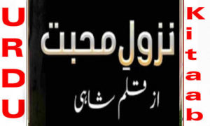 Read more about the article Nazool E Mohabbat By Shahi Complete Novel