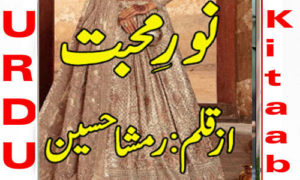 Read more about the article Noor E Mohabbat by Rimsha Hussain Complete Novel