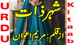 Read more about the article Shehr E Zaat By Maryam Awan Complete Novel