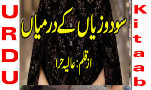 Read more about the article Sodo Ziyan Ke Darmiyan By Alia Hira Complete Novel