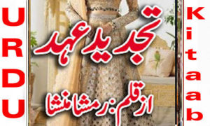 Read more about the article Tajdeed E Ehad by Ramsha Mansha Complete Novel