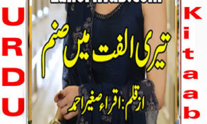 Read more about the article Teri Ulfat Main Sanam By Iqra Sagheer Ahmed Complete Novel