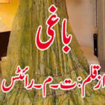 Baghi by TM Writer Complete Novel