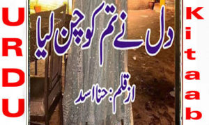 Read more about the article Dil Ne Tumko Chun Liya Hai By Hina Asad Complete Novel