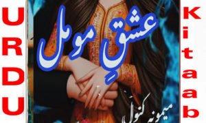 Read more about the article Ishq E Momal By Maimona Kanwal Complete Novel