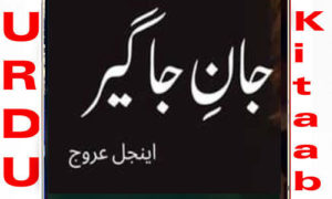 Read more about the article Jan E jageer by Angel Urooj Complete Novel