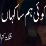 Koi Hum Sa Kahan By Shagufta Kanwal Complete Novel