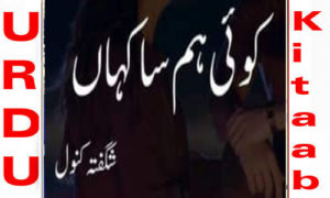 Read more about the article Koi Hum Sa Kahan By Shagufta Kanwal Complete Novel