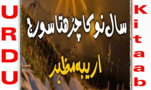 Read more about the article Saal E Nu Ka Chadta Suraj By Areeba Mazhar Complete Novel
