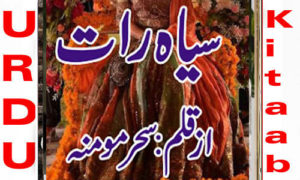 Read more about the article Siyah Raat by Sehar Momina Complete Novel