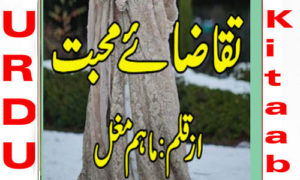 Read more about the article Taqaza E Mohabbat by Maham Mughal Complete Novel