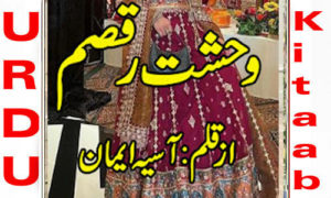 Read more about the article Wehshat E Raqsam By Asia Eman Complete Novel