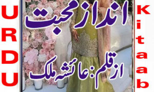 Read more about the article Andaz E Mohabbat by Ayesha Malik Complete Novel