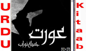 Read more about the article Aurat by Jamila Nawab Complete Novel