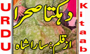 Read more about the article Dehekta Sehra By Sara Shah Complete Novel