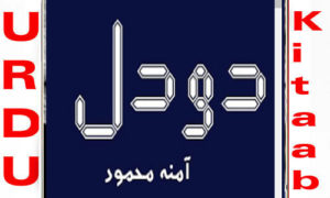 Read more about the article Do Dil By Amna Mehmood Complete Novel