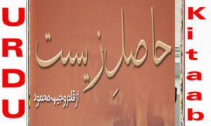 Read more about the article Hasil E Zeest By Wajiha Mehmood Complete Novel