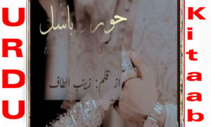 Read more about the article Hoor E Basil By Zainab Altaf Complete Novel