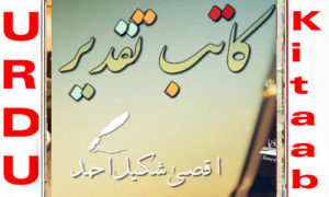 Read more about the article Katib E Taqdeer by Aqsa Shakeel Complete Novel