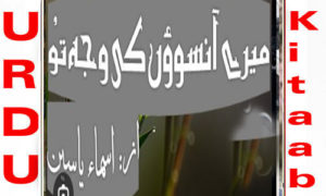 Read more about the article Mere Ansoo Ki Wajah Tu by Asma Yaseen Complete Novel