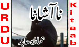 Read more about the article Na Ashana By Amara Abid Complete Novel