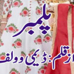 Plumber By Dimy Wolf Complete Novel