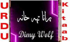 Read more about the article Purana Tahkhana by Dimy Wolf Complete Novel