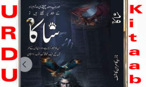 Read more about the article Shaka by Nazia Kamran Kashif Complete Novel
