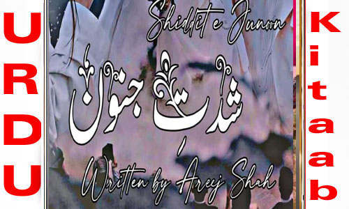 Shiddat E Junoon By Areej Shah Complete Novel