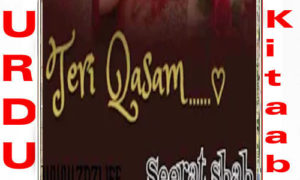 Read more about the article Teri Qasam By Seerat Shah Complete Novel