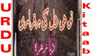 Read more about the article Tu Hi Dil Ki Bekarari By Dia Zahra Complete Novel