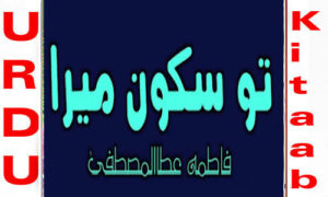 Read more about the article Tu Sakoon Mera By Fatima Atta Ul Mustafa Complete Novel