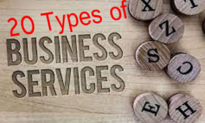 Read more about the article 20 Types of Business Services