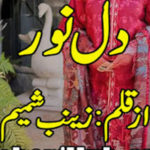 Dil E Noor By Zainab Shamim Complete Novel