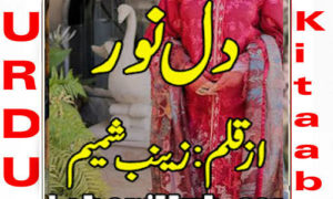 Read more about the article Dil E Noor By Zainab Shamim Complete Novel