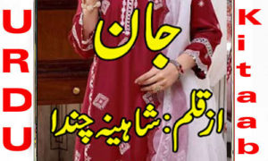 Read more about the article Jaan By Shahina Chanda Complete Novel