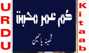 Read more about the article Kam Umar Mohabbat By Samina Yasmin Complete Novel