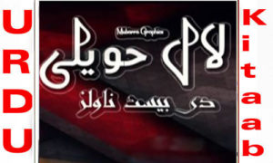 Read more about the article Laal Haveli Novel By The Best Novels Complete Novel